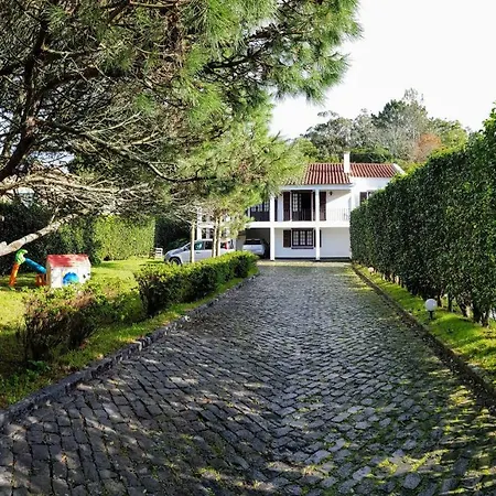 Palm's Tree House * São Vicente Ferreira