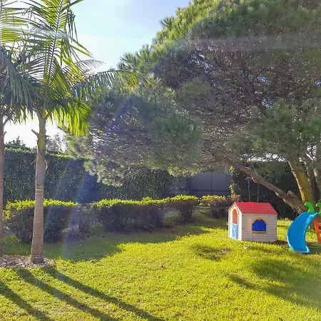 Palm's Tree House *